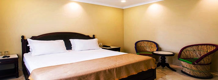 2232/Hotel Pratap Palace - Chittorgarh 11.jpg